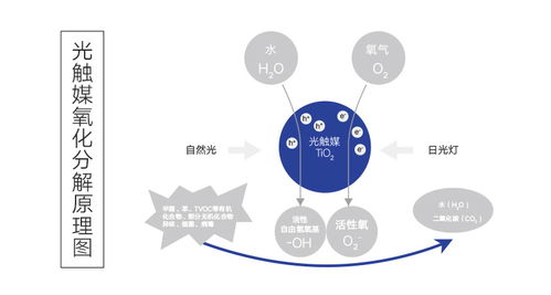 專業空氣凈化，科萊環保為您的健康保駕護航——上門除甲醛與異味工程技術服務詳解